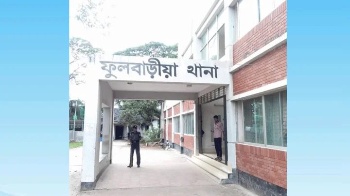 ভিমরুলের কামড়ে প্রাণ গেল নানি-নাতনির