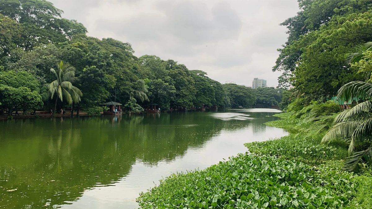 ধানমন্ডি লেকের কাদা ও বর্জ্য সরাতে লাগবে ২৬ কোটি টাকা
