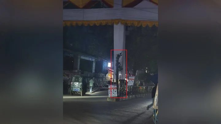 আমির হামজার জন্য তোরণ বানাতে ‘ন্যাড়া’ করা হলো ১৫ বছরের বকুলগাছ